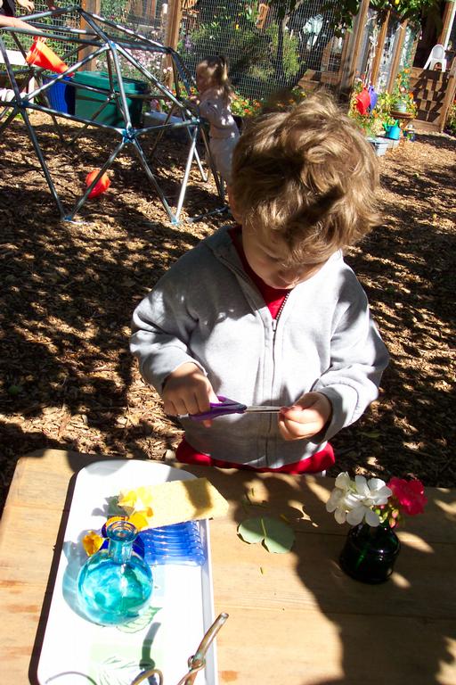 Fuad Flower arranging by Garden Gate Montessori School